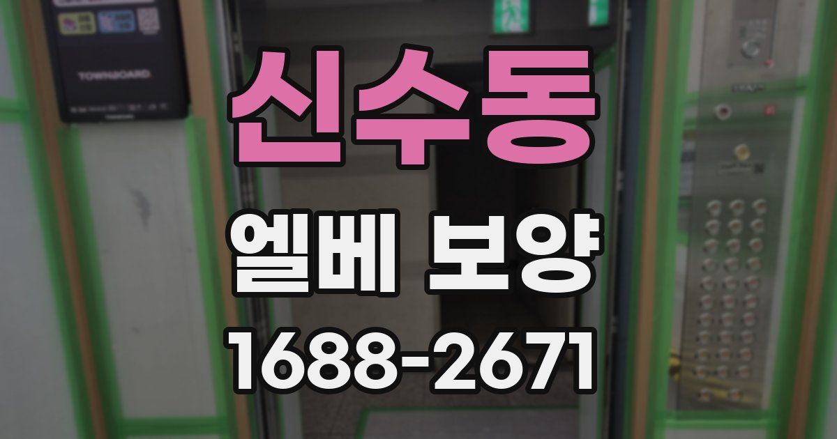 신수동 엘베 보양
