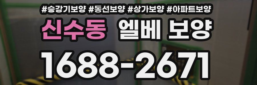 신수동 엘베 보양
