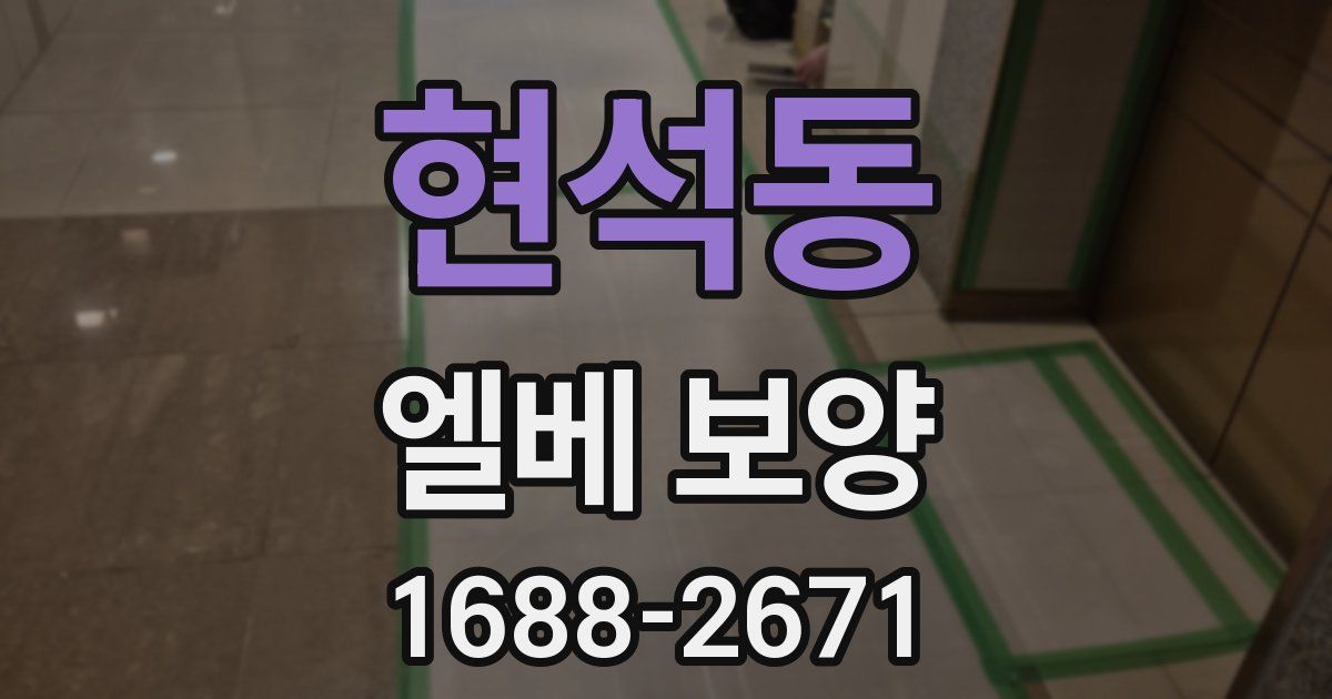 현석동 엘베 보양