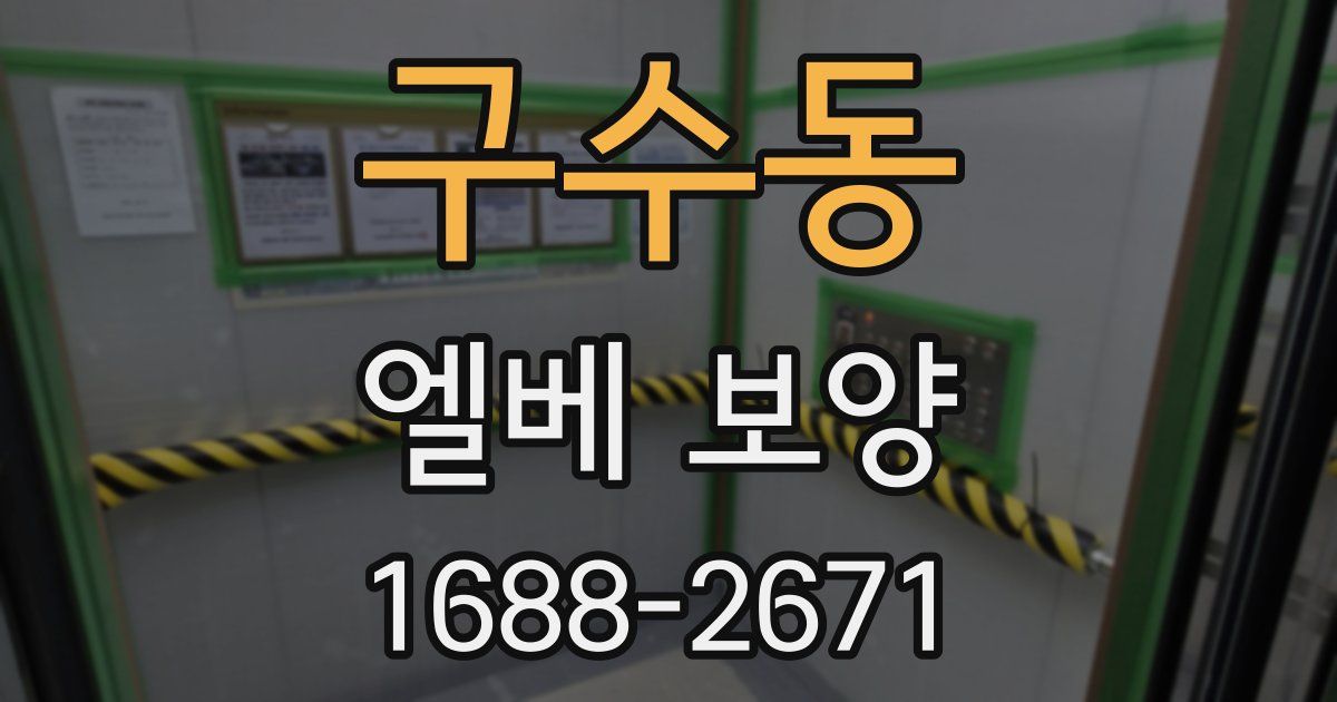 구수동 엘베 보양