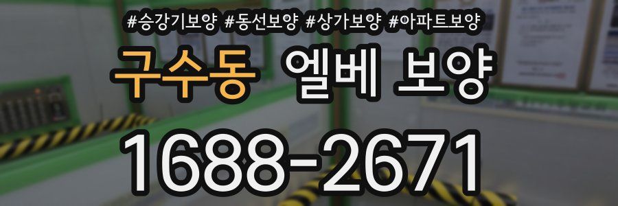 구수동 엘베 보양