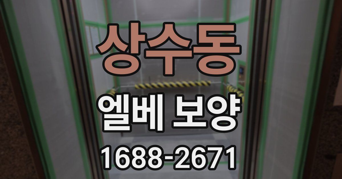 상수동 엘베 보양