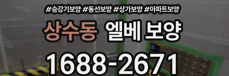 상수동 엘베 보양