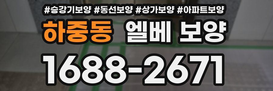 하중동 엘베 보양