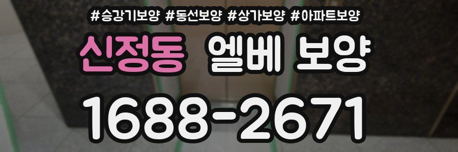 신정동 엘베 보양
