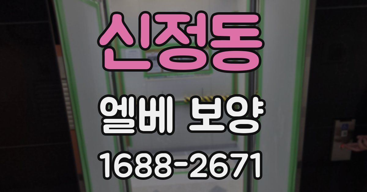 신정동 엘베 보양