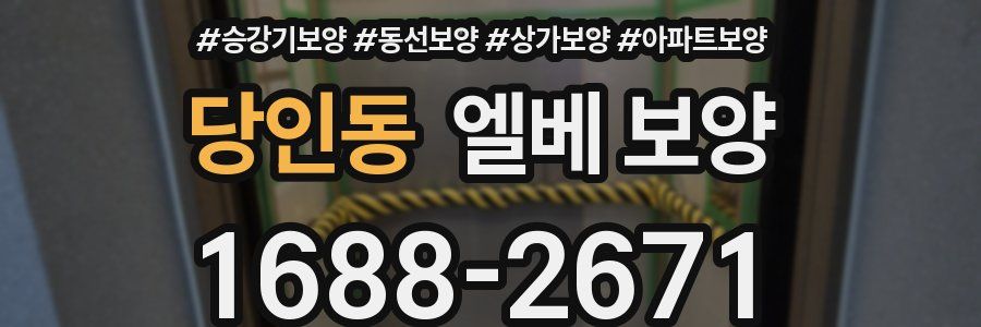 당인동 엘베 보양
