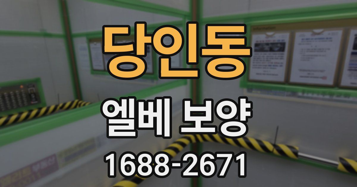 당인동 엘베 보양