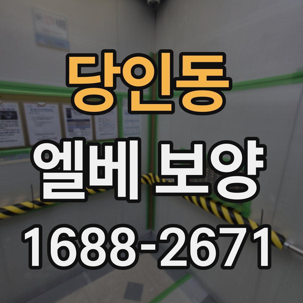 당인동 엘베 보양