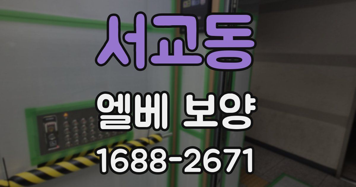 서교동 엘베 보양
