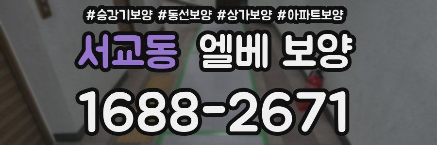 서교동 엘베 보양