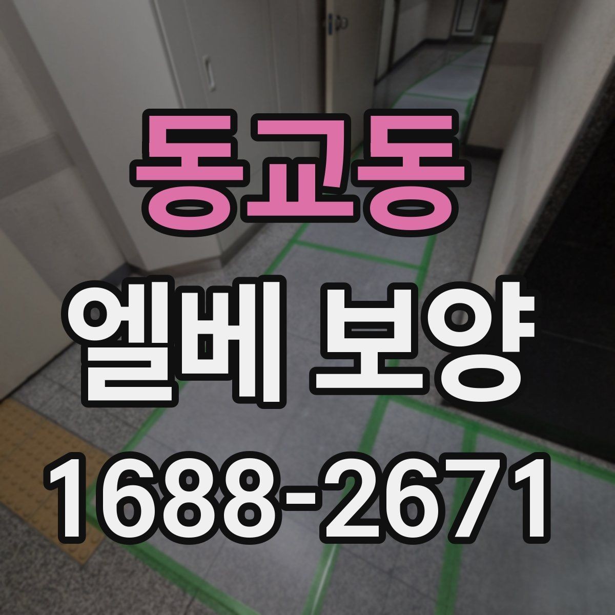 동교동 엘베 보양 보행 동선이 복잡한 현장에서 먼저 볼 점