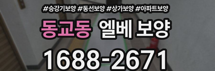 동교동 엘베 보양