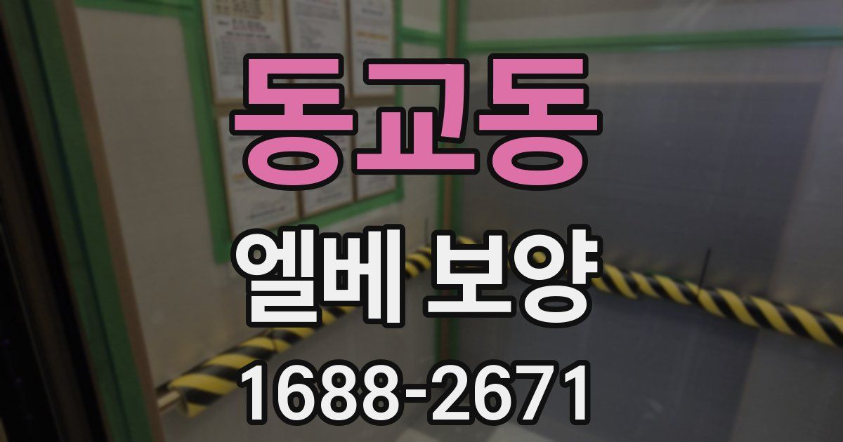 동교동 엘베 보양