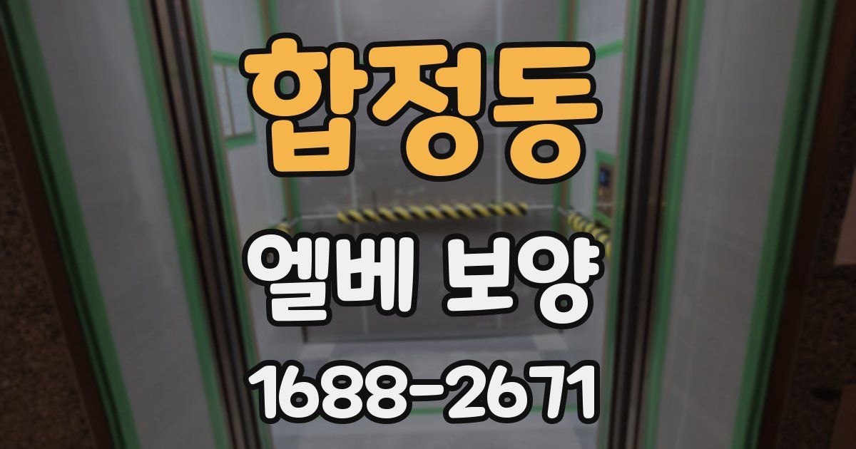 합정동 엘베 보양