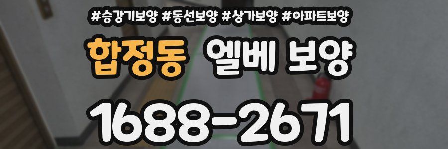 합정동 엘베 보양