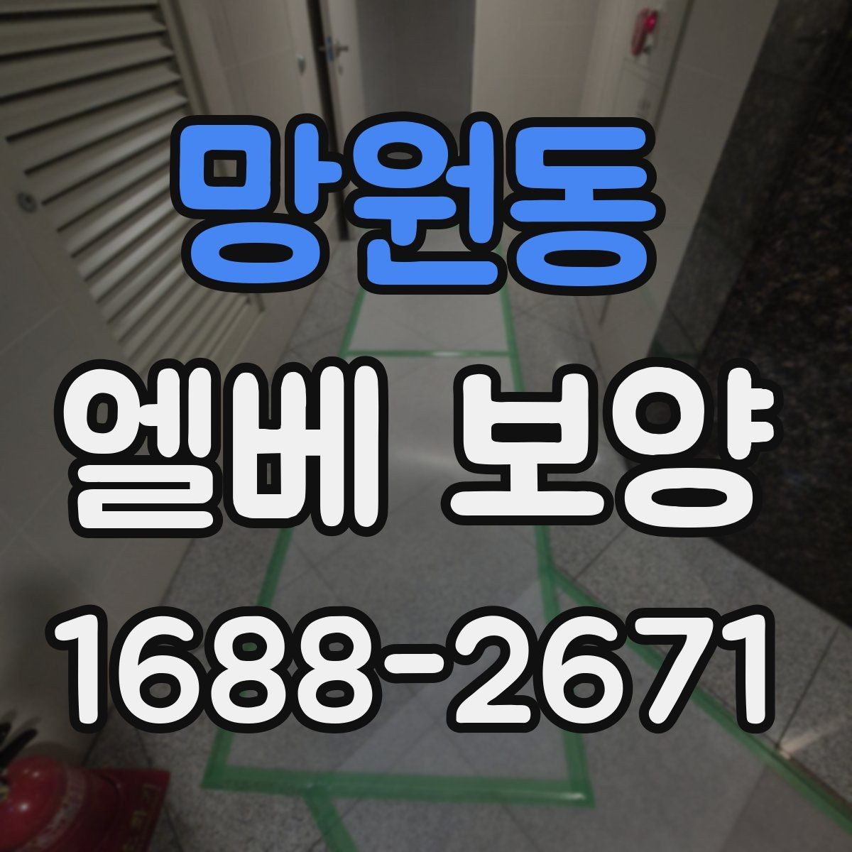 망원동 엘베 보양 관리규정에 맞춰 적용하는 방식
