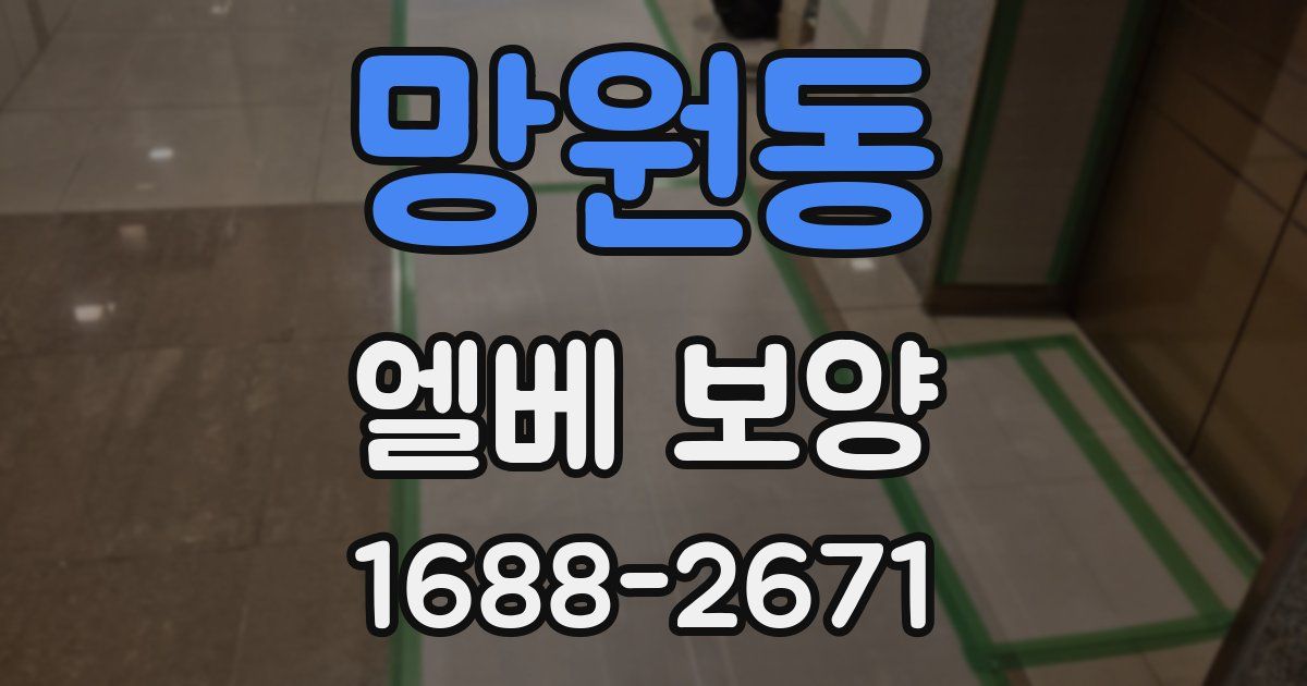 망원동 엘베 보양