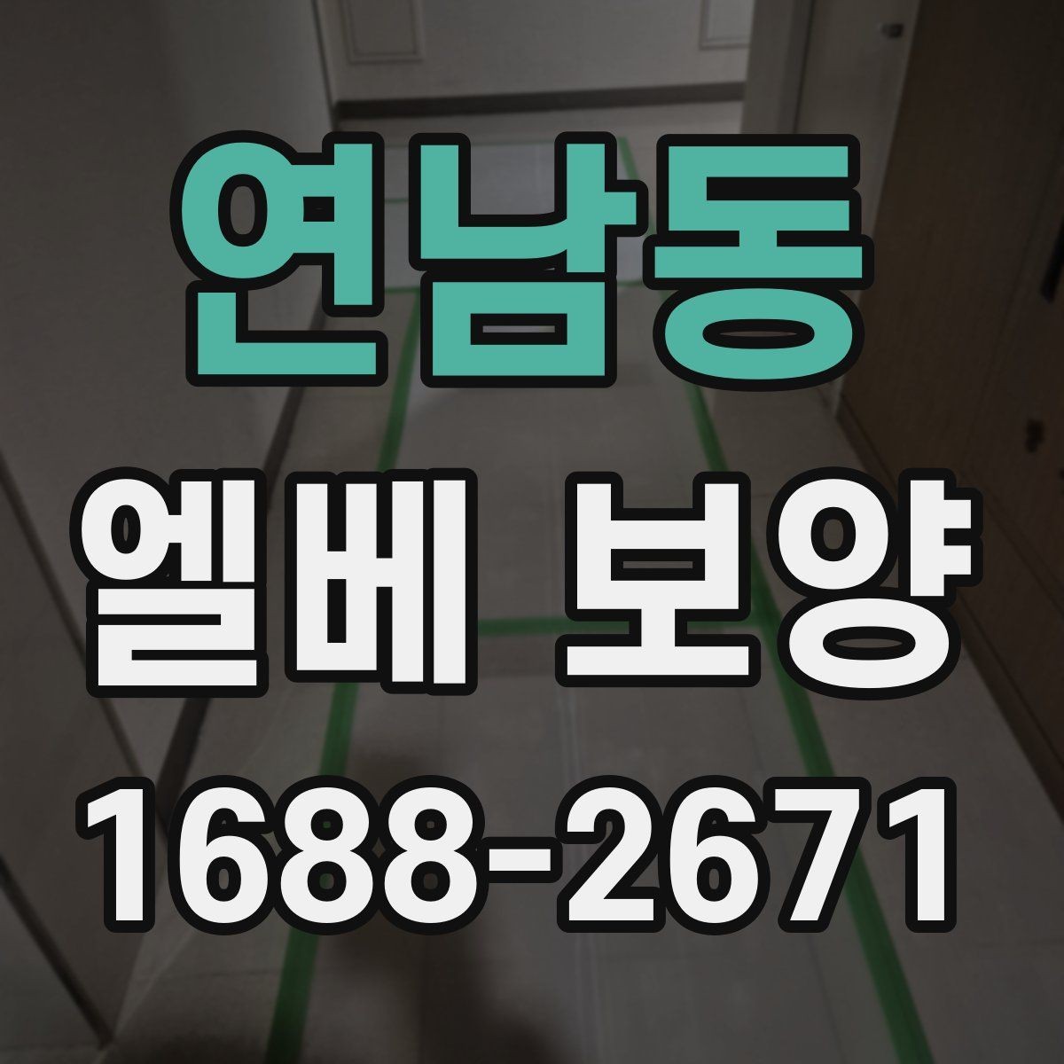 연남동 엘베 보양 자재 종류별 쓰임과 현장 선택 기준