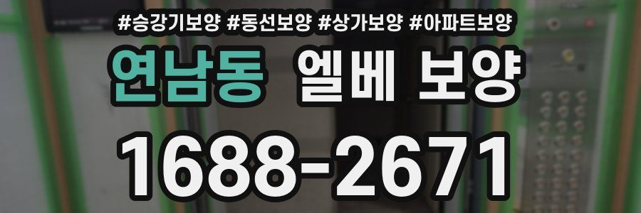 연남동 엘베 보양