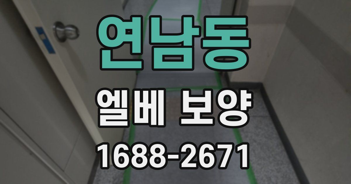 연남동 엘베 보양