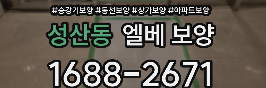 성산동 엘베 보양