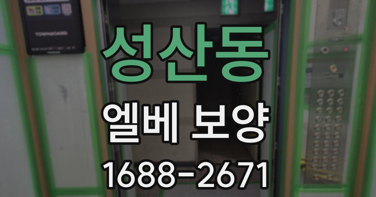 성산동 엘베 보양