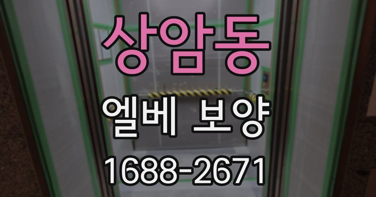 상암동 엘베 보양