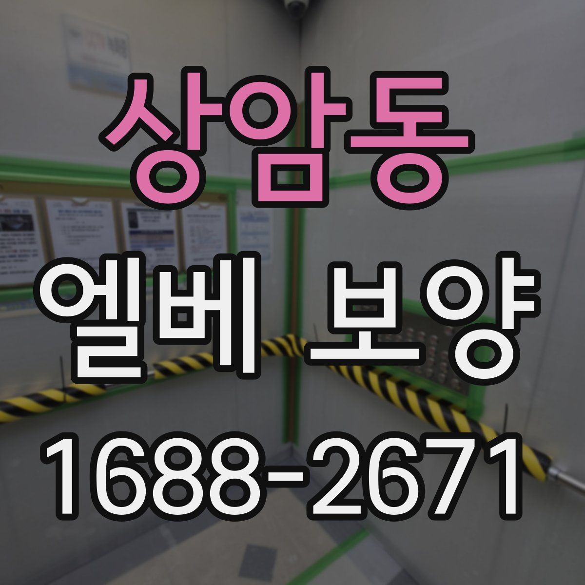 상암동 엘베 보양