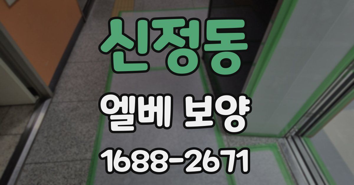 신정동 엘베 보양