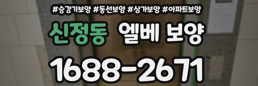 신정동 엘베 보양
