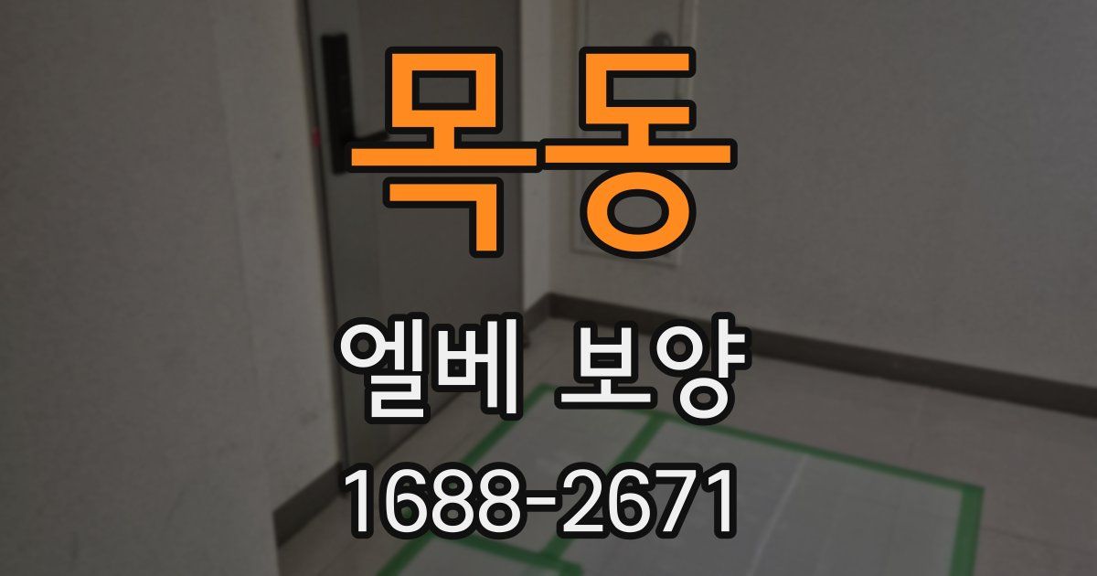 목동 엘베 보양