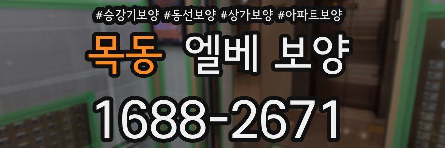목동 엘베 보양