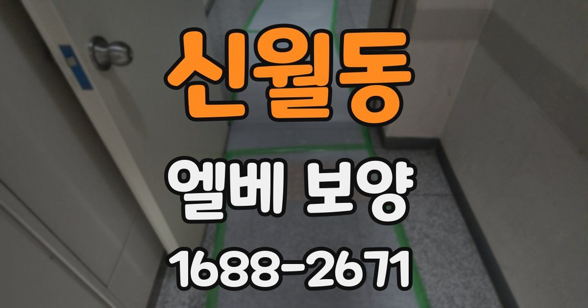 신월동 엘베 보양