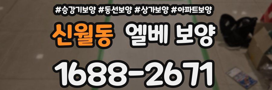 신월동 엘베 보양