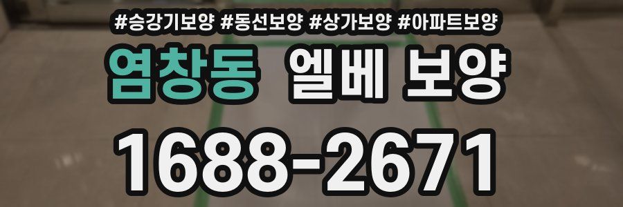 염창동 엘베 보양