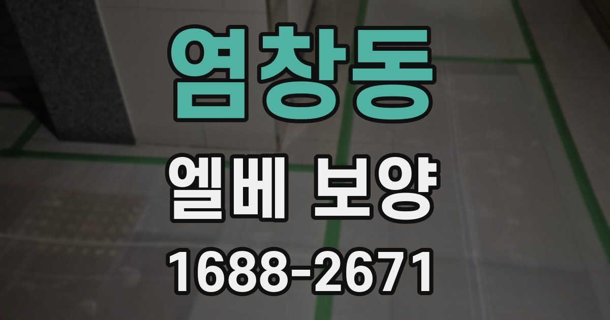 염창동 엘베 보양
