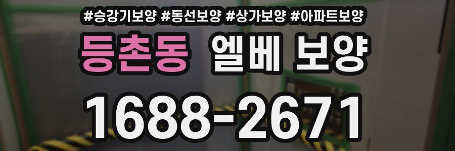 등촌동 엘베 보양