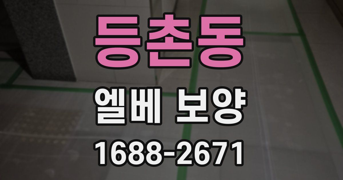 등촌동 엘베 보양