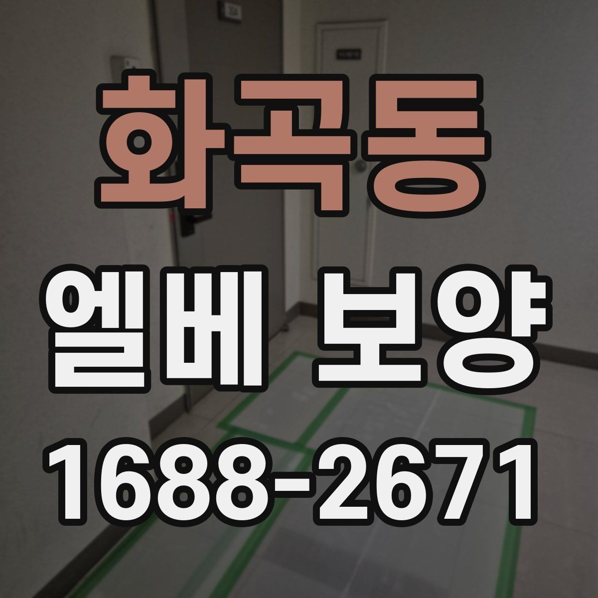 화곡동 엘베 보양 장비 반입이 잦을 때 충격 대응