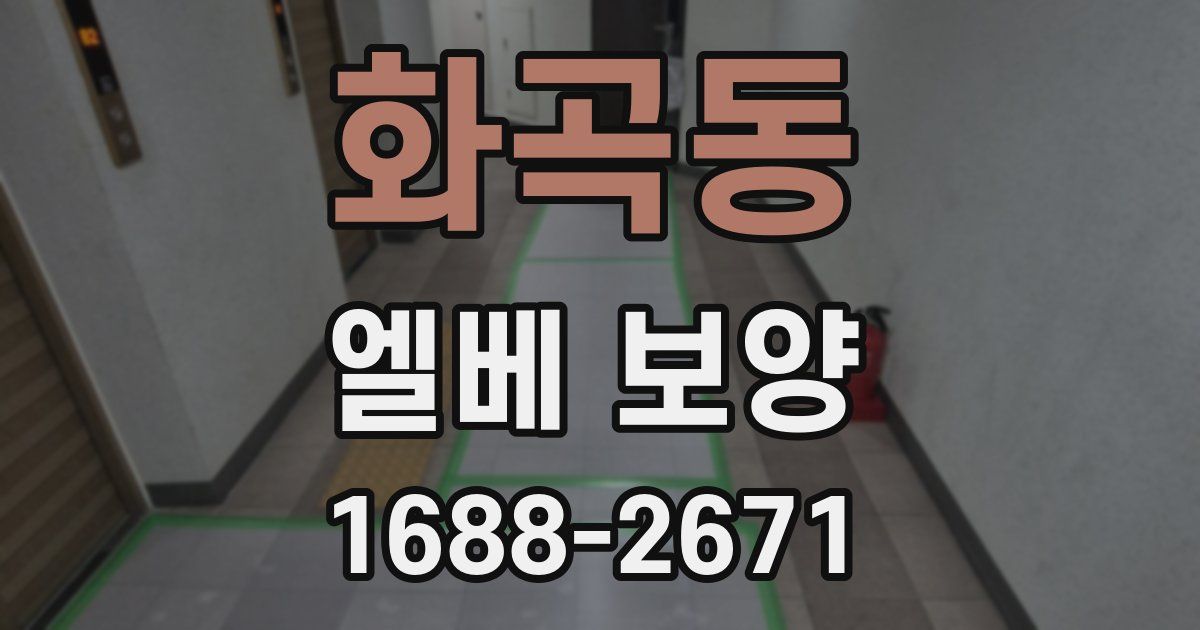 화곡동 엘베 보양