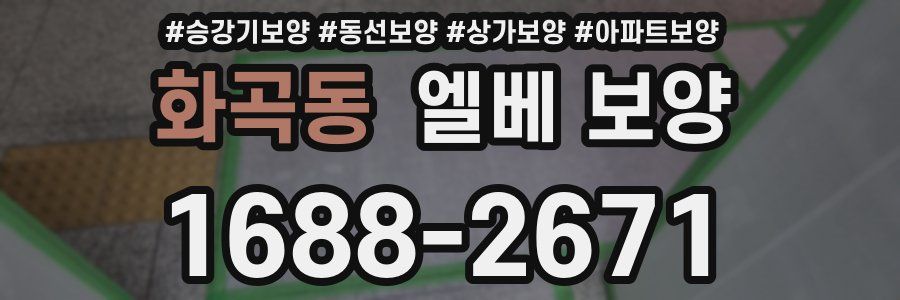 화곡동 엘베 보양