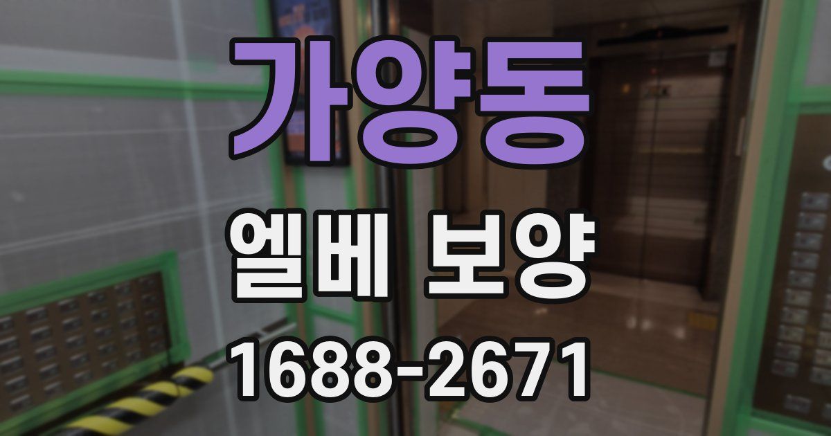 가양동 엘베 보양