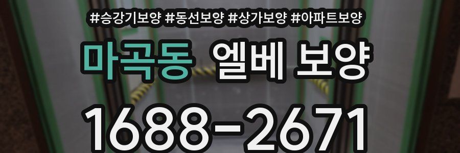 마곡동 엘베 보양