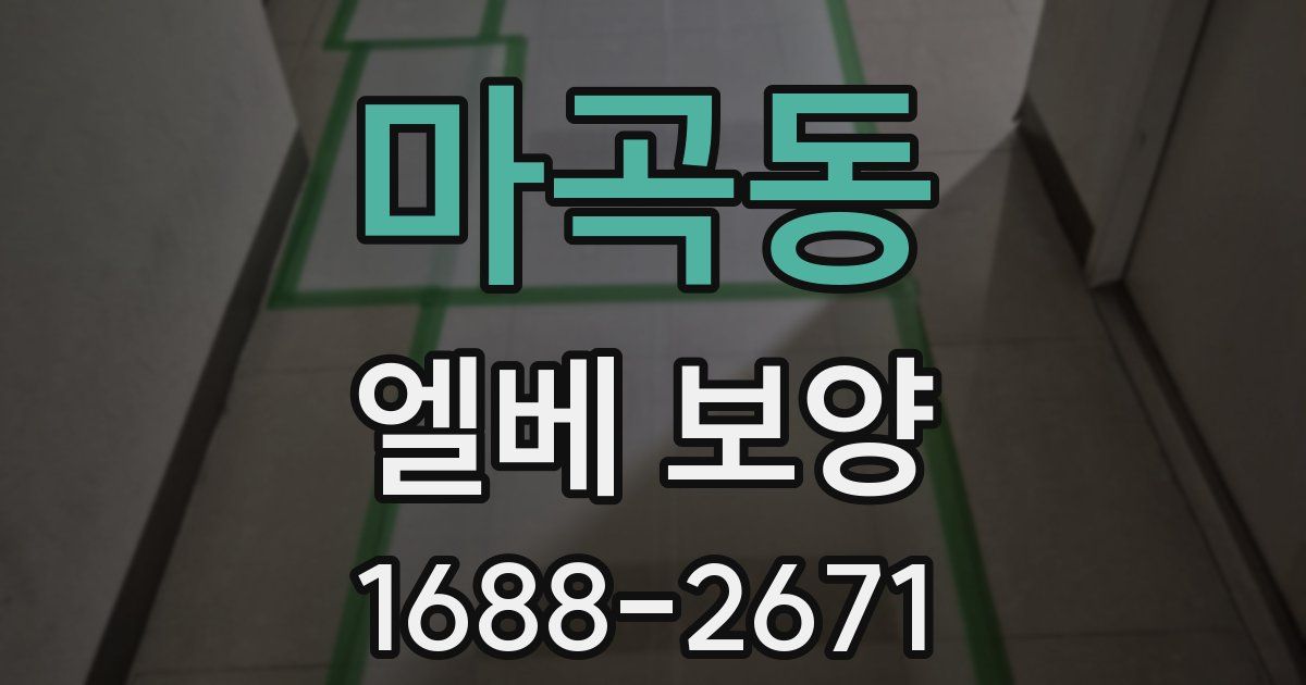 마곡동 엘베 보양
