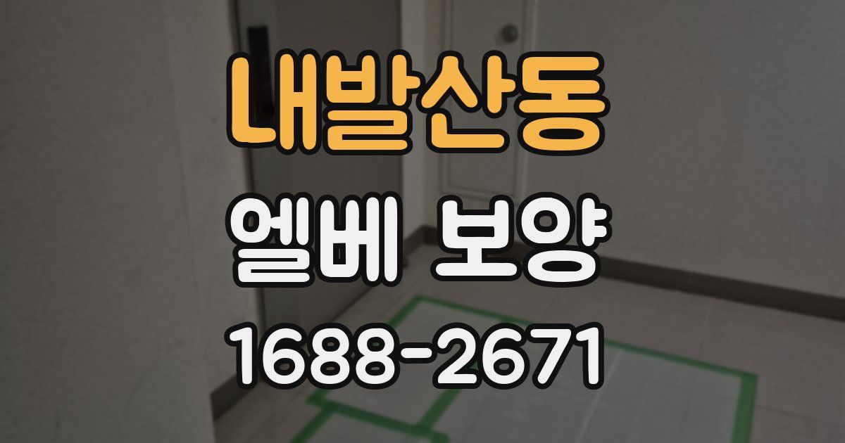 내발산동 엘베 보양