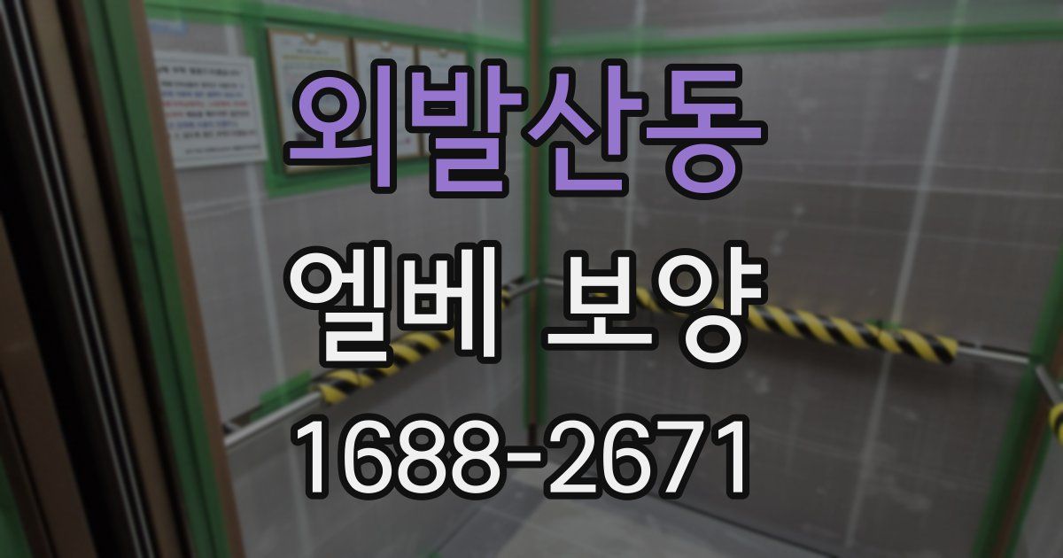 외발산동 엘베 보양