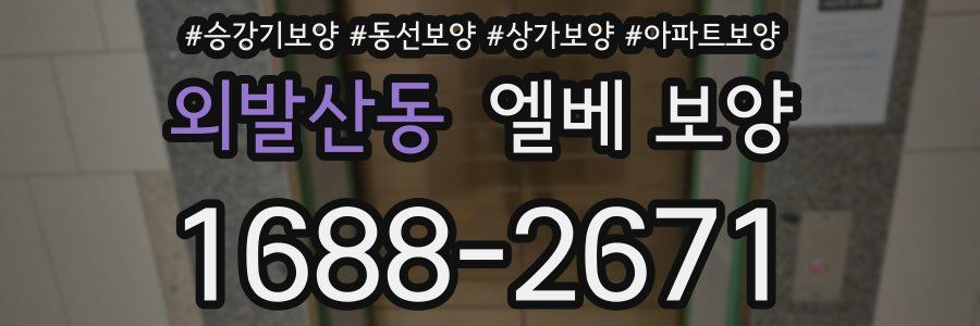 외발산동 엘베 보양