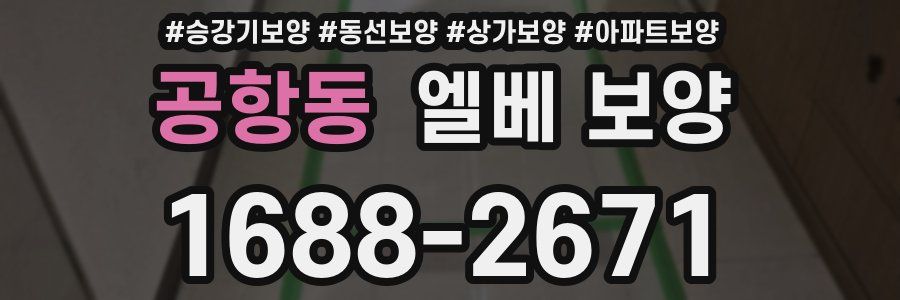공항동 엘베 보양