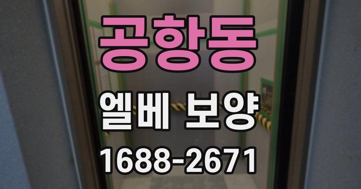 공항동 엘베 보양
